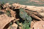 PICTURES/Devils Bridge Hike - Sedona/t_Bridge14.JPG